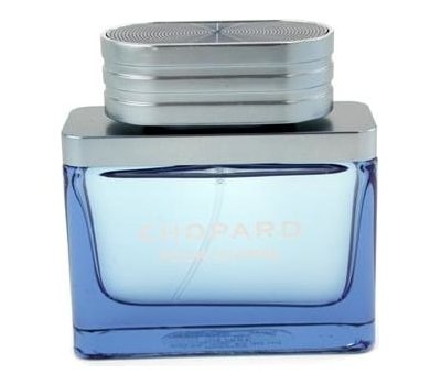 Chopard Pour Homme 104064