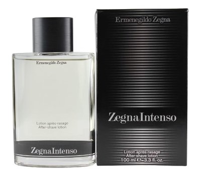 Ermenegildo Zegna Intenso 107367