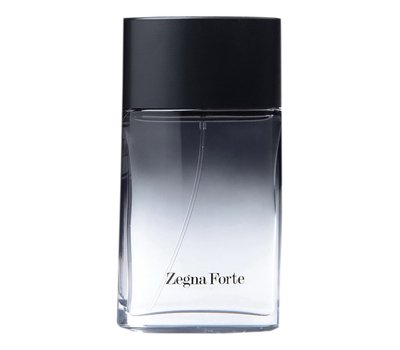 Ermenegildo Zegna Forte man 107321