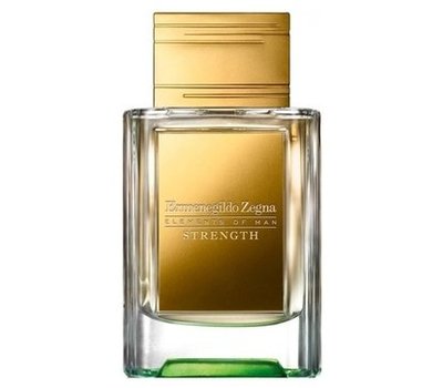 Ermenegildo Zegna Strength