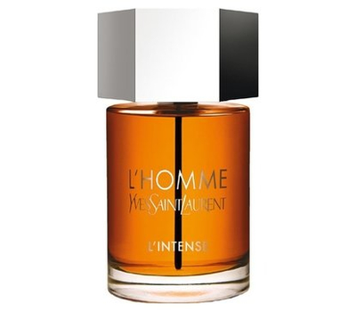 YSL L'Homme Intense