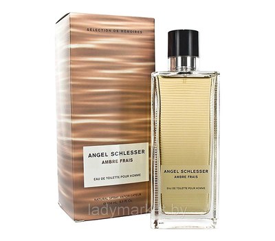 Angel Schlesser Ambre Frais Homme 186444