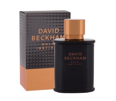 David Beckham Bold Instinct