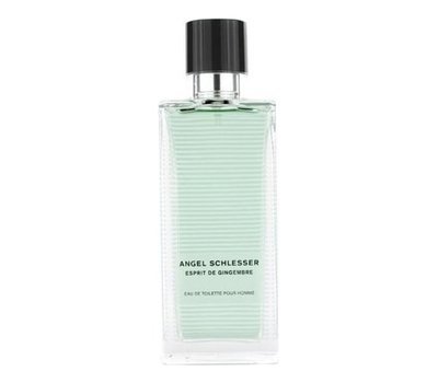 Angel Schlesser Esprit De Gingembre Men 99173