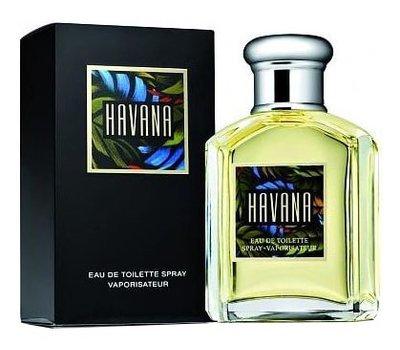 Aramis Havana Men 99802